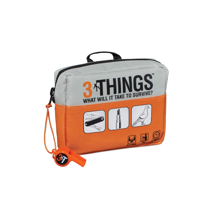 3 Things What Will it Take to Survive?